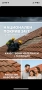Василев[Строй Покриви гаран] , снимка 2