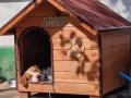 кучешка къща,къща за куче,колиба за куче,кучешка колиба, снимка 3