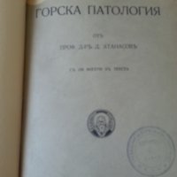 Горска ботаника от Никола Пенев-1940 г. / Горска патология от Д.Атанасов-1939 г. (2 редки издания), снимка 7 - Специализирана литература - 33288398