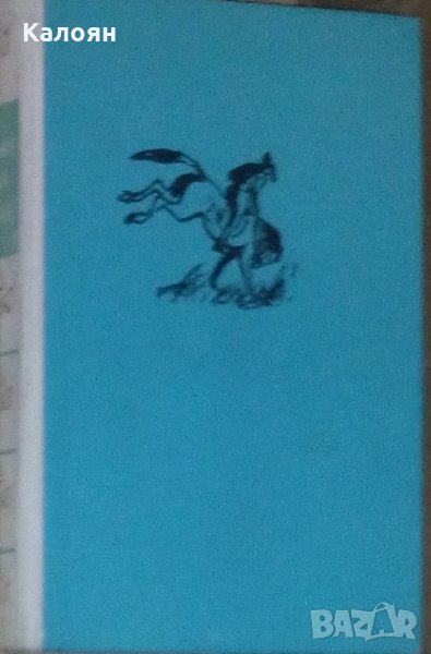 Давид Виняс - Мъже на коне, снимка 1