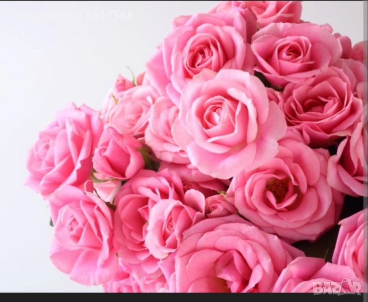 Маг Еми, снимка 1