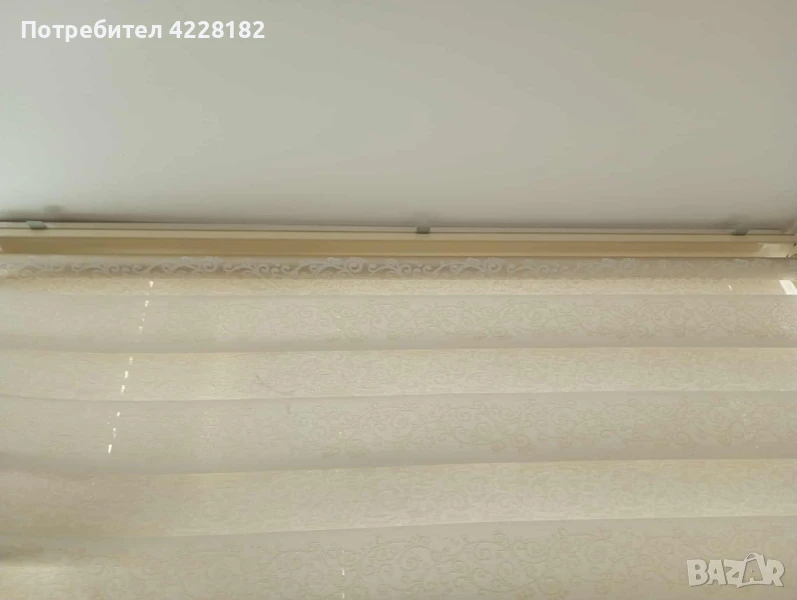 Бели щорита, снимка 1