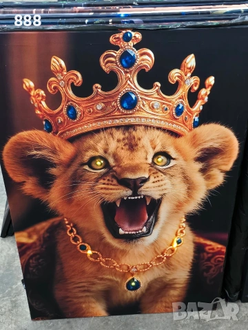 картини, снимка 16 - Картини - 53575033