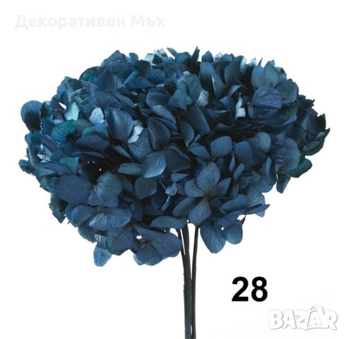 Стабилизирани естествени растения и листа - декорация, украса, арт., снимка 2 - Декорация за дома - 31836958