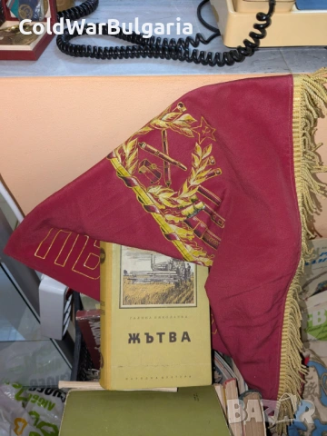 Голям антикварен лот соца, снимка 4 - Антикварни и старинни предмети - 53154983