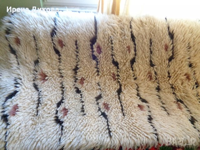 Продавам дългокосмен китеник / губер ..