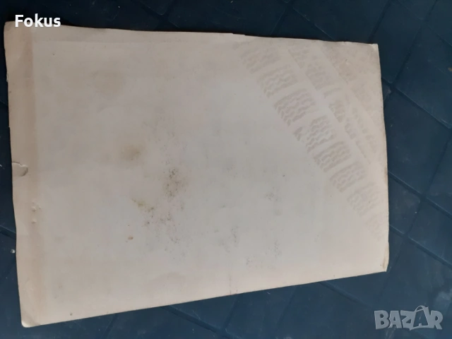 Стара майсторска рисунка с пастели - картина портрет момче, снимка 4 - Антикварни и старинни предмети - 53285801