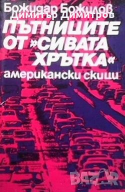 Пътниците от ”Сивата хрътка” Божидар Божилов, снимка 1 - Българска литература - 28669803