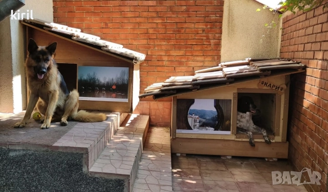 Хотел за кучета - Игри на воля , снимка 2 - Други услуги - 52645885