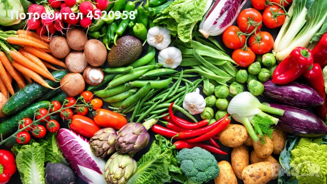 Оранжериино стопанство