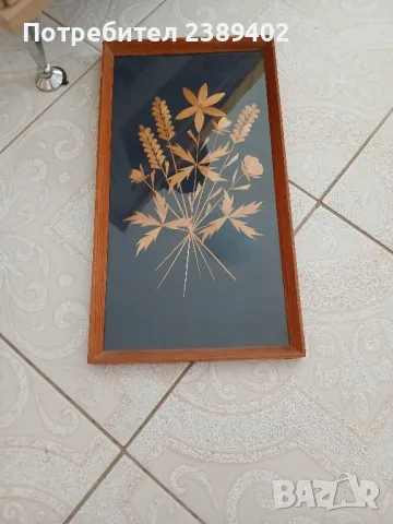 Соц  картина