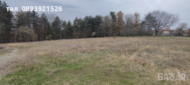 ПАРЦЕЛ ЗА ЗАСТРОЯВАНЕ С БАСЕЙН, снимка 2 - Парцели - 48006913