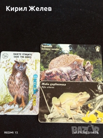 Три фонокарти тема ЖИВОТНИ ТАРАЛЕЖ, БУХАЛ,ЖАБА за КОЛЕКЦИЯ 42295