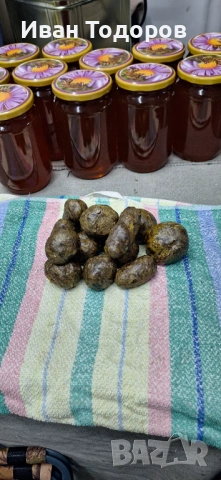 Прополис(пчелен клей)