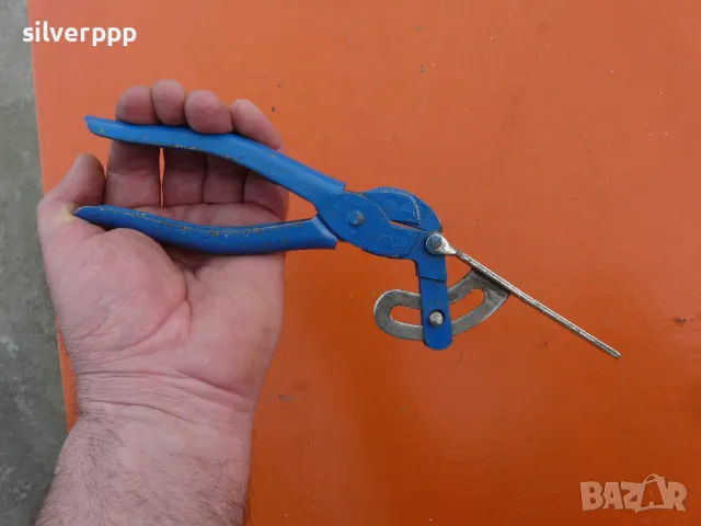 Български чапраз, снимка 3 - Други инструменти - 49483482