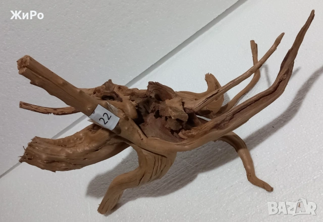 Корен от Азалия /декорация/ 22, снимка 2 - Други - 48936491