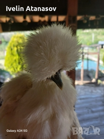 Двойка копринки., снимка 4 - други­ - 51798577