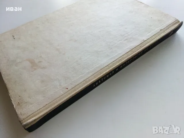 Анатомия и Физиология на човека 8 клас. - Г.Налбантов - 1967г., снимка 11 - Учебници, учебни тетрадки - 49699243