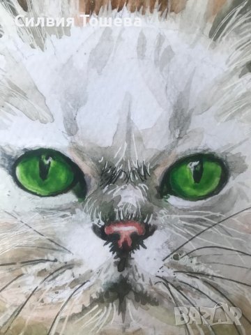 Коте със зелени очи, снимка 2 - Картини - 43397648