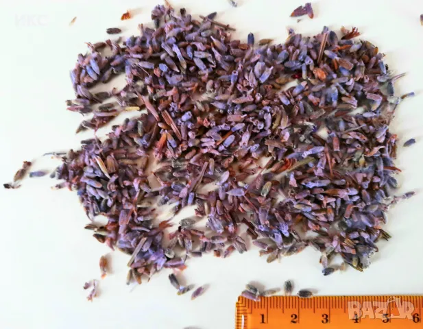 Сушени Цветя и Билки на едро и дребно, България, чужбина , снимка 5 - Други - 44629481