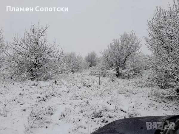 Парцел в село Згалево до Плевен, снимка 3 - Парцели - 48806702