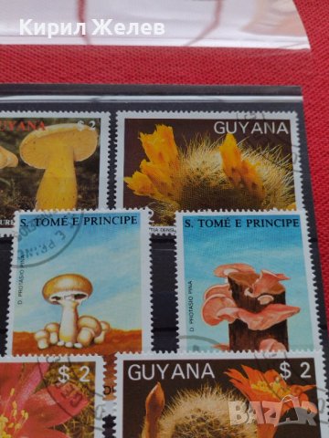 Пощенски марки серия Растения, Гъби стари редки за колекция декорация - 22024, снимка 7 - Филателия - 36641512