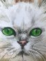 Коте със зелени очи, снимка 2