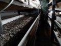 20 футов контейнер за земеделие, хидропоника - за производство на разсад, микро растения и гъби, снимка 8