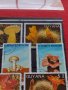 Пощенски марки серия Растения, Гъби стари редки за колекция декорация - 22024, снимка 7