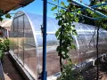 Оранжерия „Primaterra Agro“, снимка 3