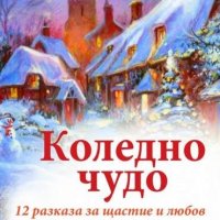 Коледно чудо: 12 разказа за щастие и любов, снимка 1 - Художествена литература - 32416423