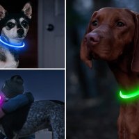 Светещ LED нашийник за големи и малки породи кучета , каишка за куче светеща лента, снимка 3 - За кучета - 43118651
