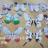 3D maxi пеперуди за декорация, снимка 4 - Декорация за дома - 33539182