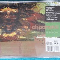 Shpongle – 2005 - Nothing Lasts... But Nothing Is Lost(Future Jazz,Ambient,Dub,Downtempo,Tribal), снимка 6 - CD дискове - 43831570
