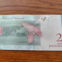 Банкнота Венецуела много красива непрегъвана за колекция декорация - 23602, снимка 4 - Нумизматика и бонистика - 33362836