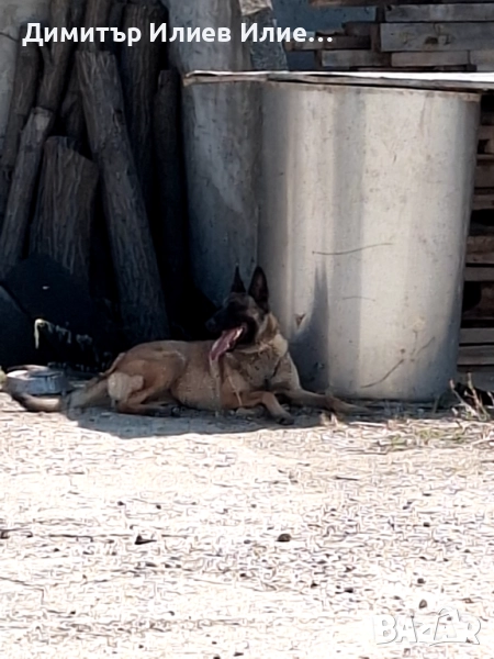 Продава се, снимка 1