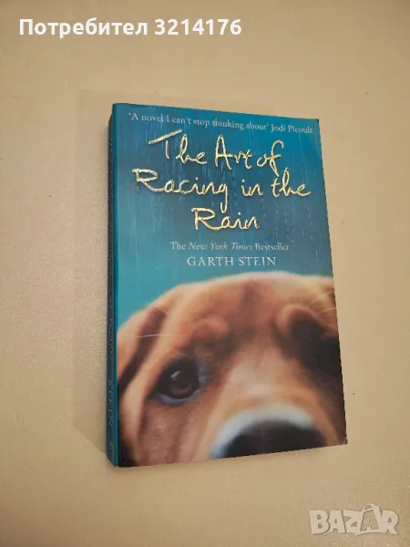 The Art of Racing in the Rain - Garth Stein , снимка 1