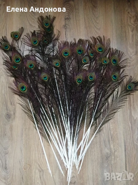 Естествени паунови пера , снимка 1