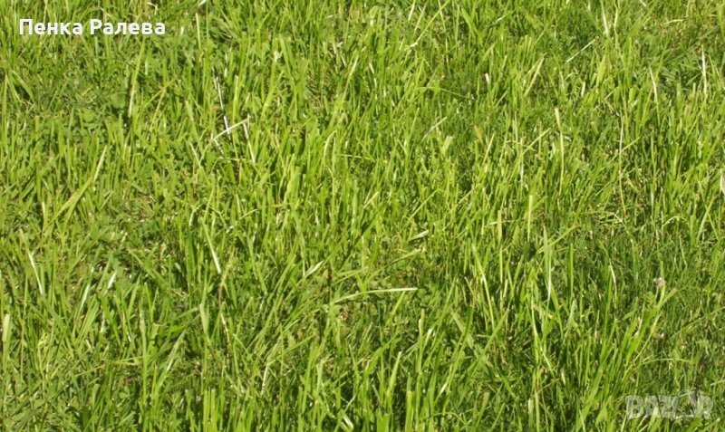 продава парцел , снимка 1