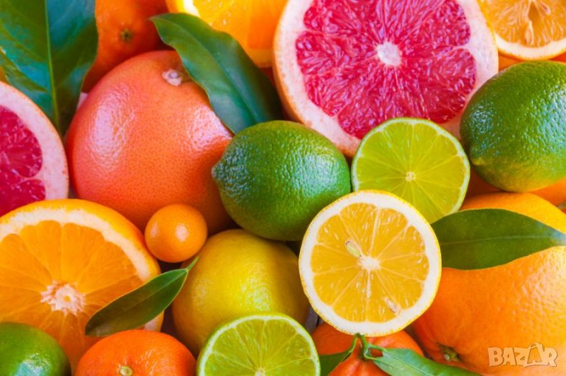 Разсад набор "Цитрусови": лимон, портокали, грейпфрут и мандарина 💥, снимка 1