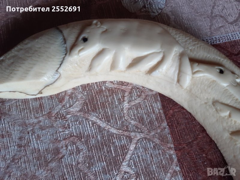 Кост, снимка 1