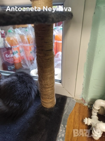 Котешка катерушка , снимка 3 - За котки - 53327431