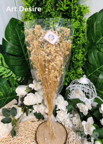 Гипсофил , снимка 3 - Други - 53408838