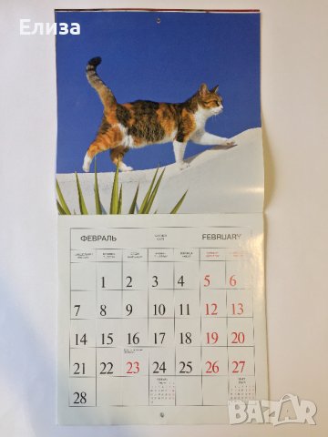 Стенен календар 2011 Котки, снимка 6 - Други - 38776717