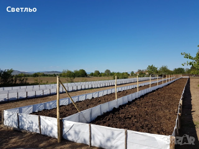 БИОХУМУС и ТЕЧЕН БИОТОР от Червен Калифорнийски Червеи 💚100% ОРГАНИЧНО , снимка 11 - Тор и почвени смеси - 5750673