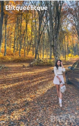 чанта Christian Dior , снимка 4 - Чанти - 52383396