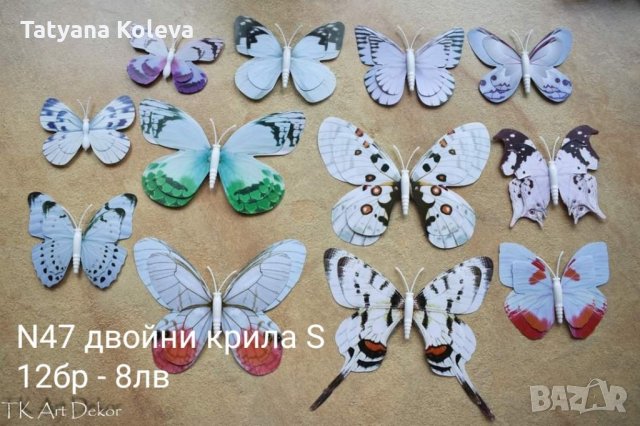 3D maxi пеперуди за декорация, снимка 3 - Декорация за дома - 33539182