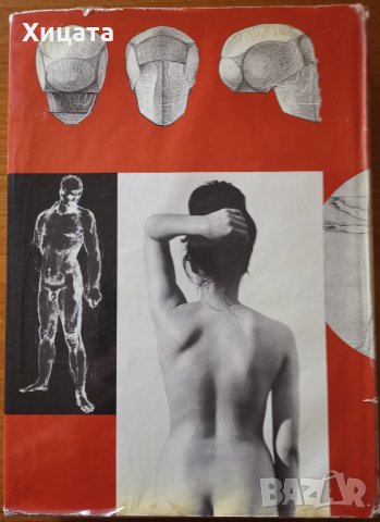 Der nackte Mensch,Gottfried Bammes,V,1982г.474стр.Човешкото тяло;Немски език.Отлична!, снимка 2 - Енциклопедии, справочници - 26738177