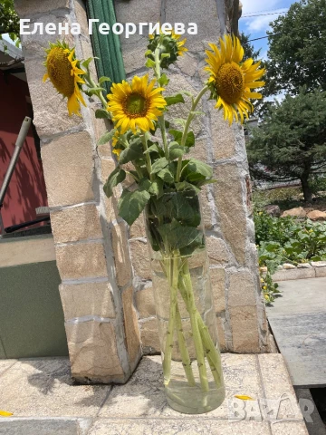 Голяма стъклена ваза цилиндър., снимка 3 - Вази - 51081741