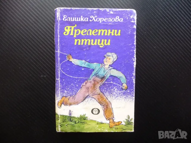 Прелетни птици Елишка Хорелова детско юношеска литература